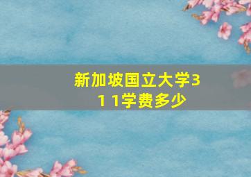 新加坡国立大学3 1 1学费多少